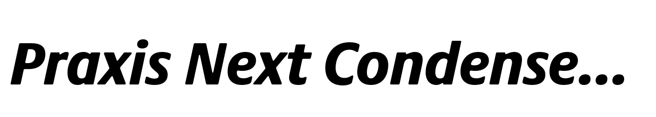 Praxis Next Condensed Heavy Italic
